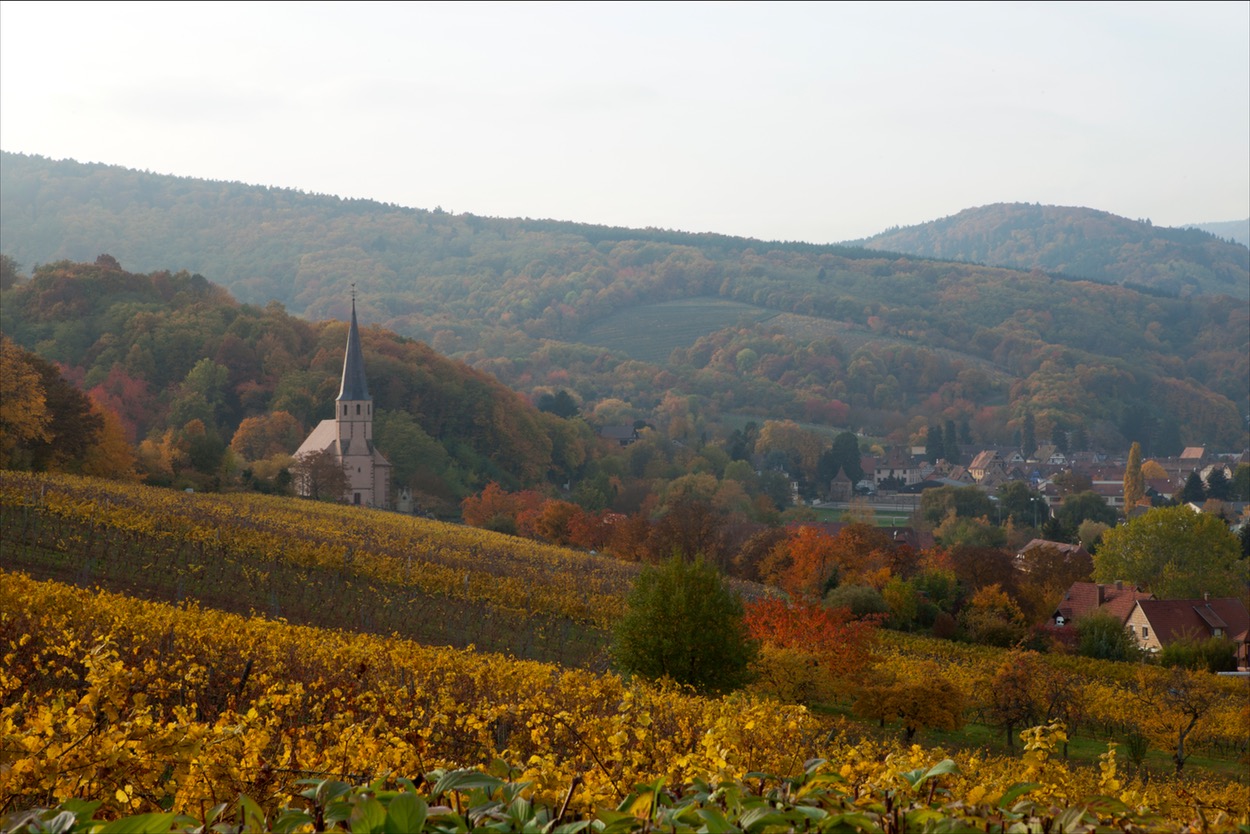 Andlau (c) Manon Badermann