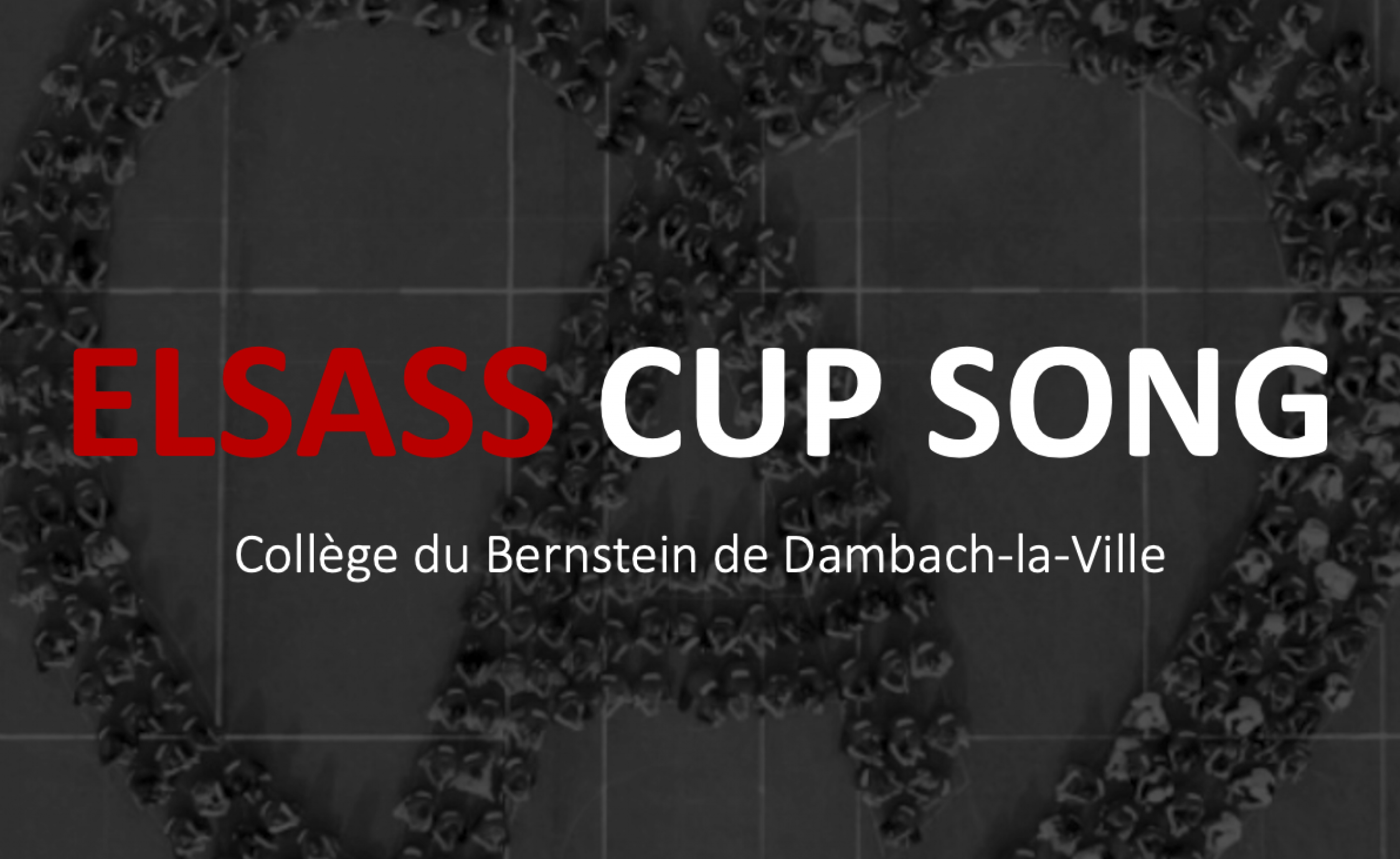 Elsass Cup Song