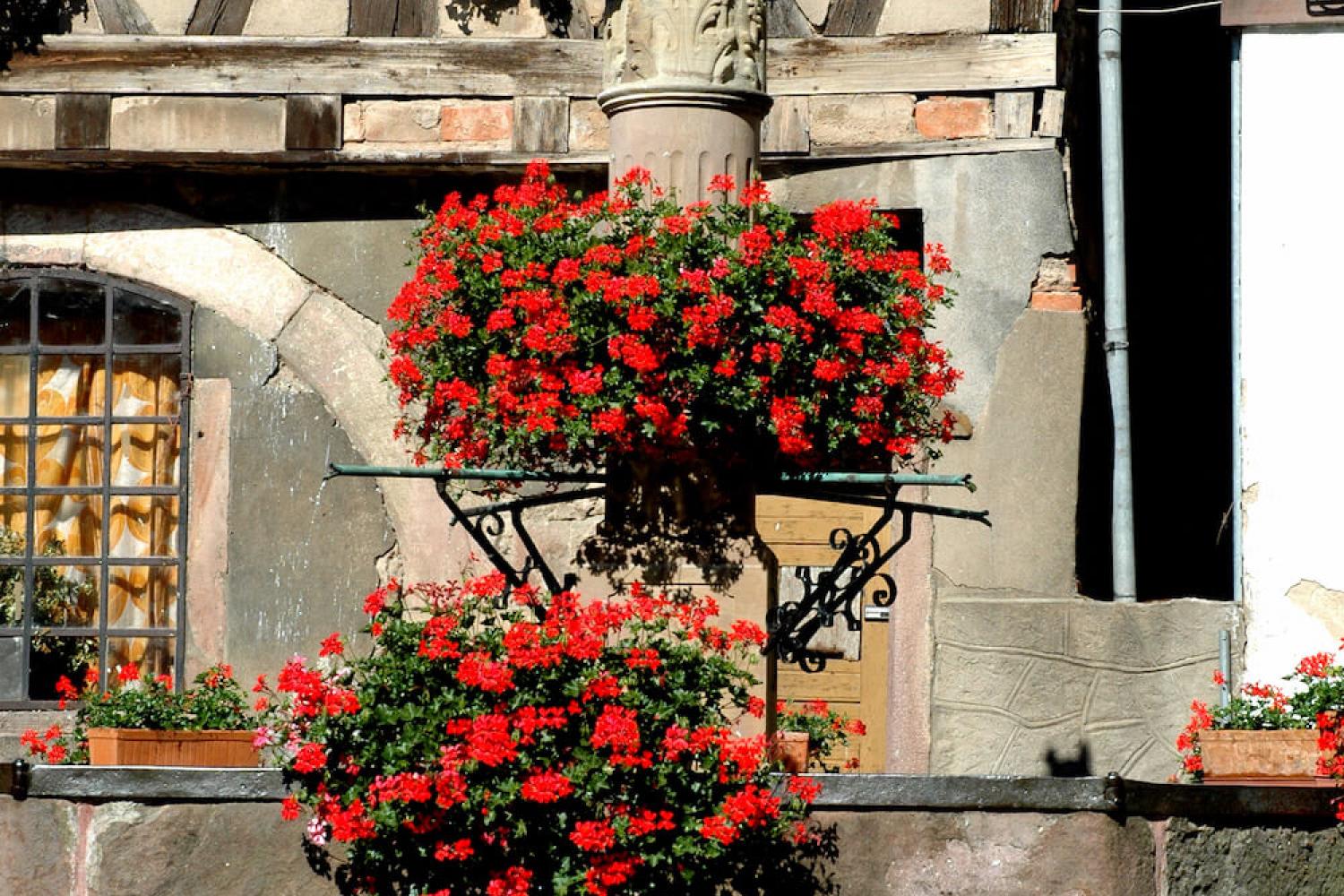 Fontaine de l'Ours