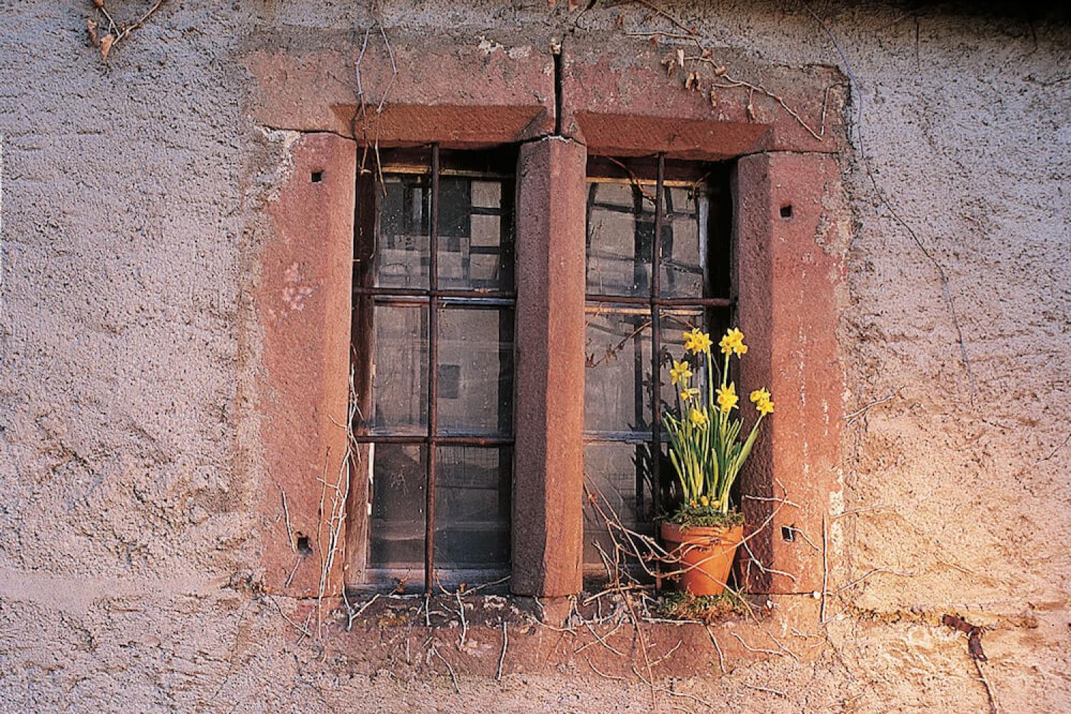 fenêtre ancienne