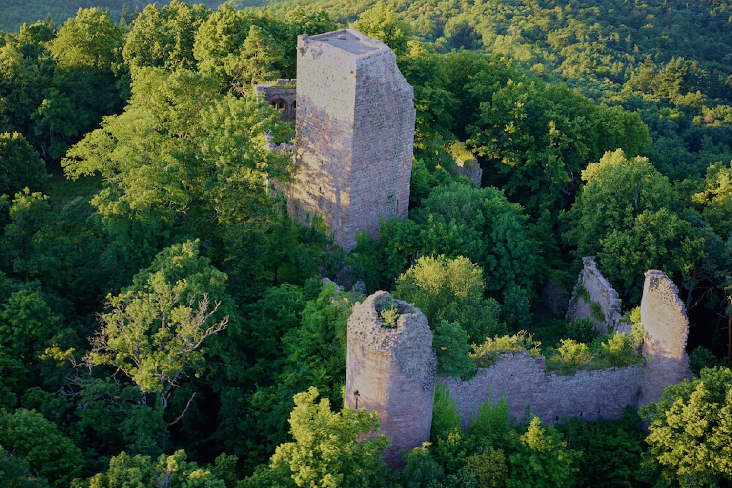 Château du Landsberg - © Studio_Pygmalion