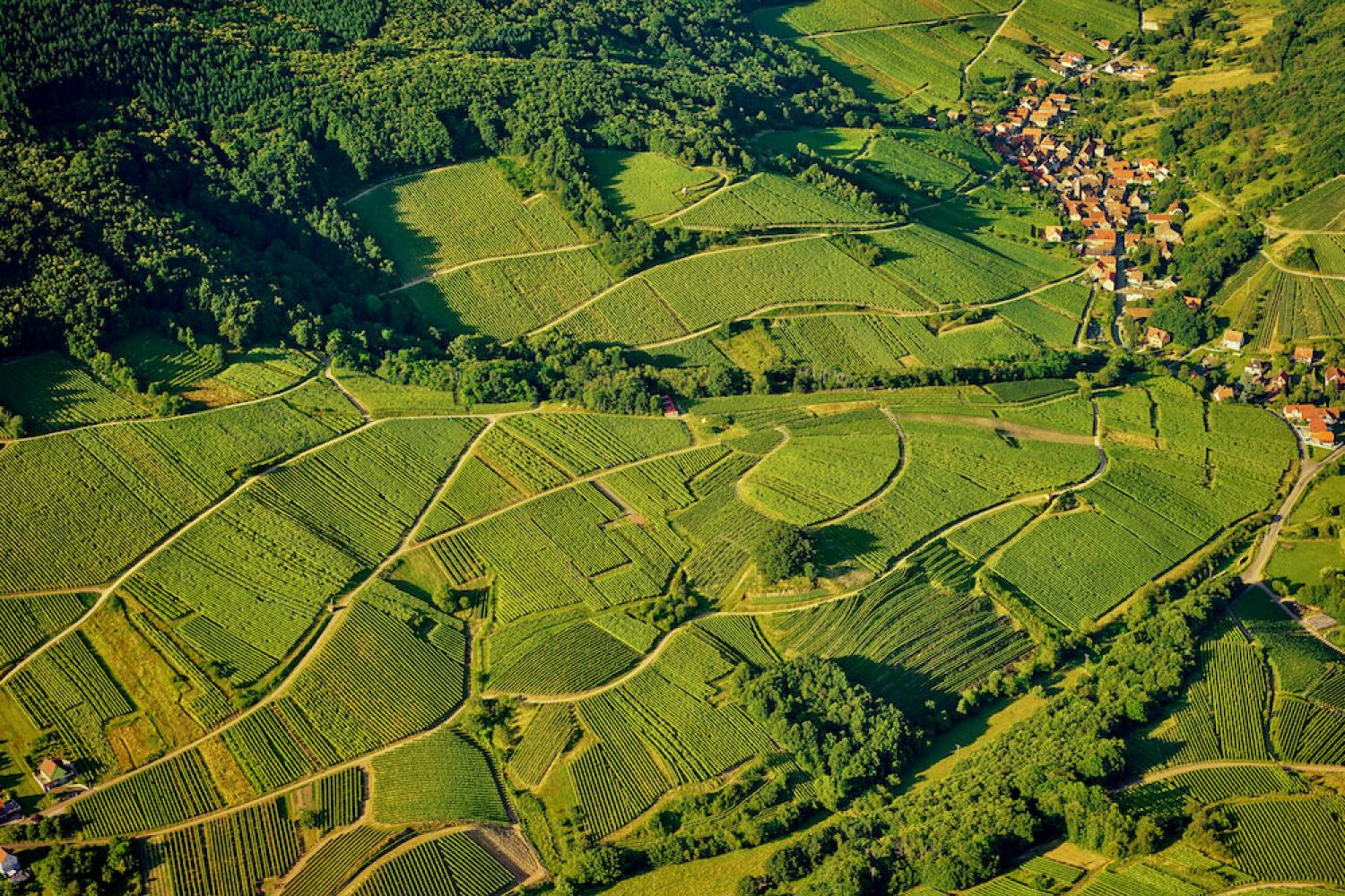 Bernardvillé Commune Portail