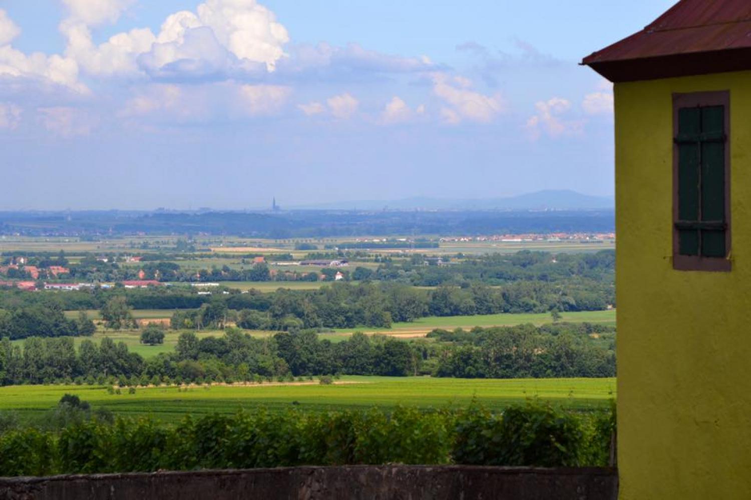 Vue sur le Klevener - Photo : Olivier HERBETH