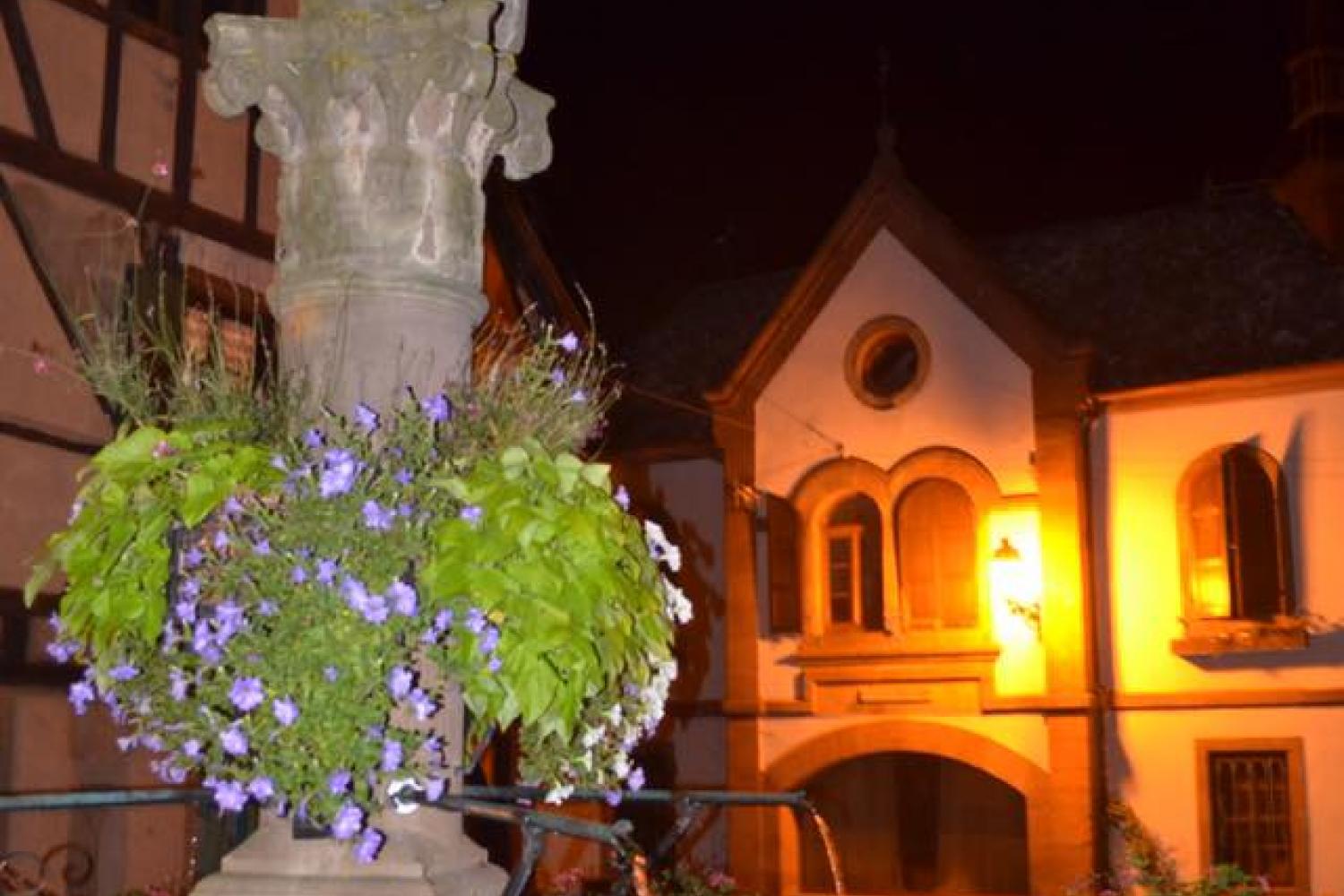 Fontaine de l'Ours de nuit - Photo : Olivier HERBETH