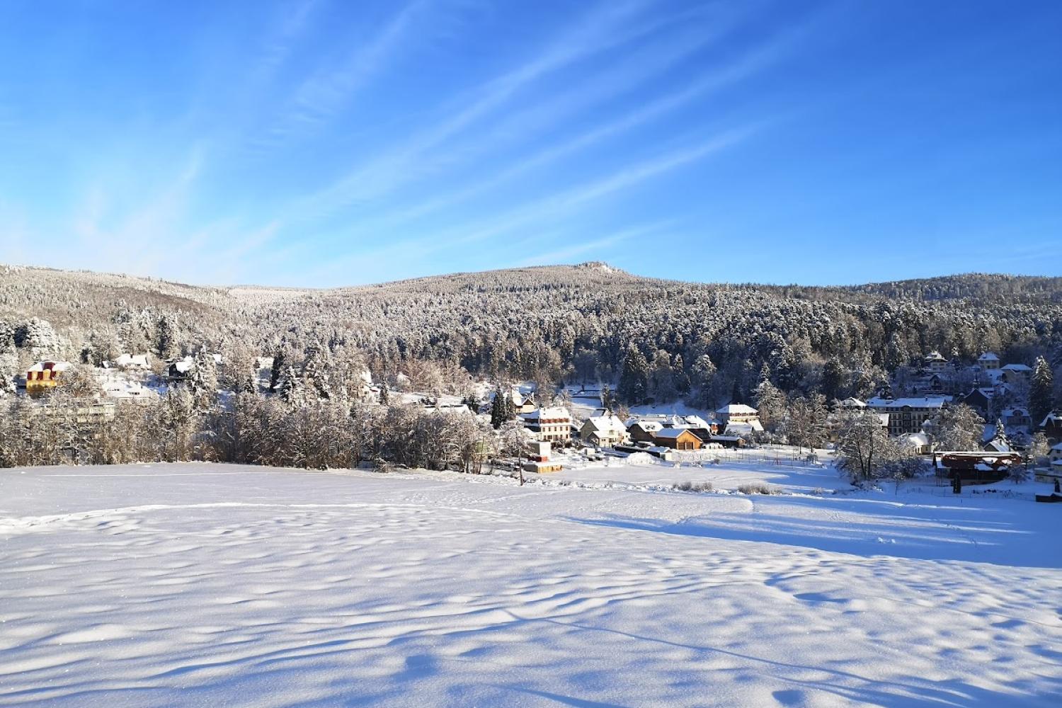 Paysage d'hiver