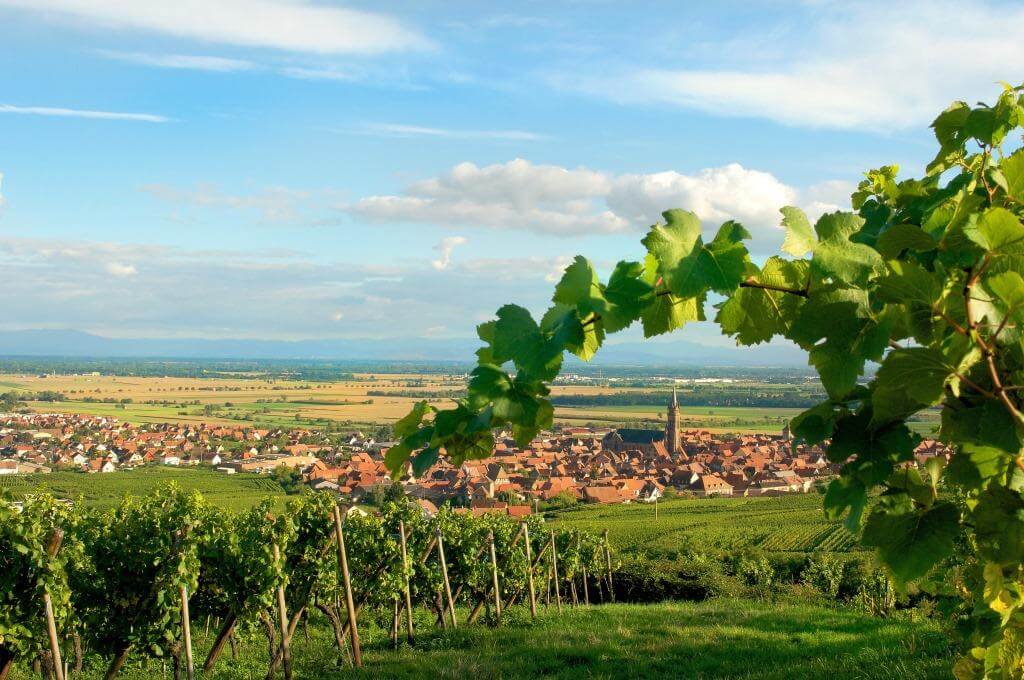 Vue de Dambach-la-Ville © Studio Pygmalion