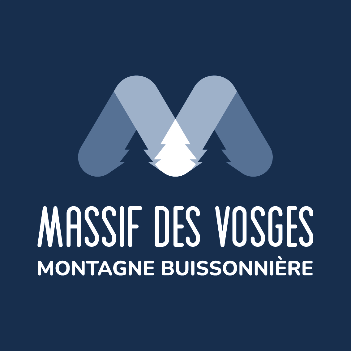 image réseau