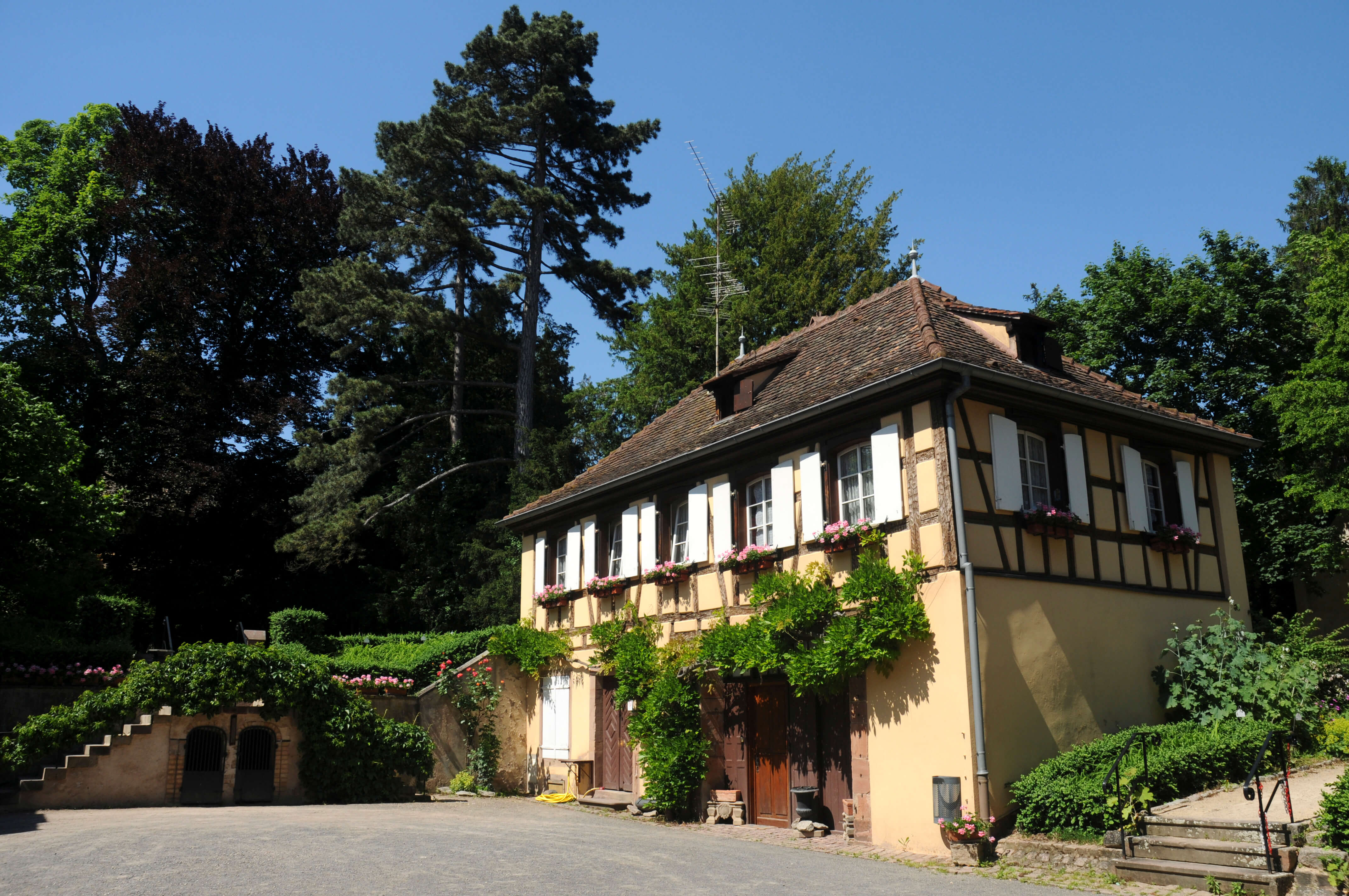 Jardin du musée Folie Marco © C. Dumoulin