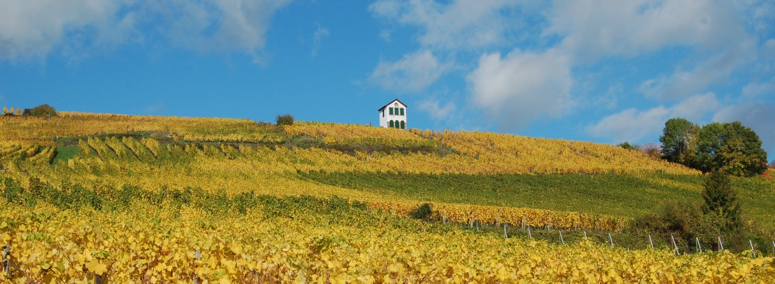 Vue sur le Kirchberg © Tourisme Pays de Barr