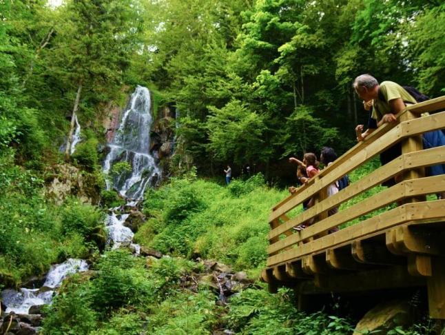 La cascade du Hohwald ©Studio_Pygmalion