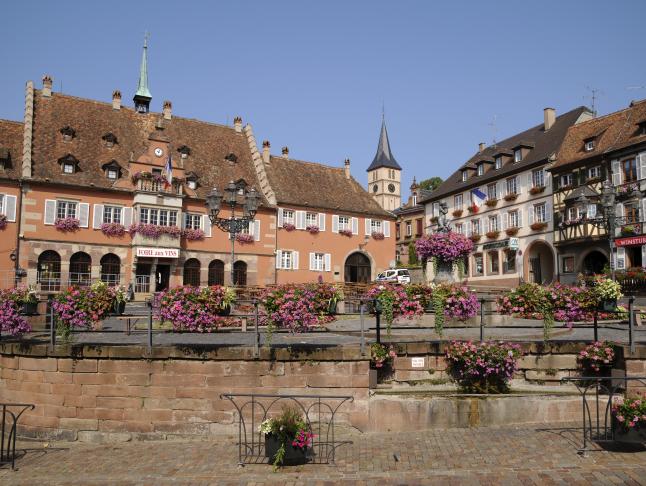 Place de l'Hôtel de Ville de Barr © C. Dumoulin